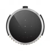 Bang & Olufsen Beolab 8 Silver/Oak, TS