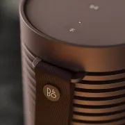 Bang & Olufsen Beosound Explore Chestnut