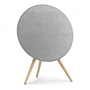 Bang & Olufsen Beosound A9 5th Generation Natural Aluminium