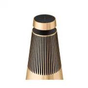 Bang & Olufsen Beosound 2 Gen3 Gold Tone