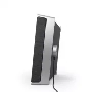 Bang & Olufsen Beosound Level Natural/Dark Grey