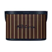 Bang & Olufsen Beosound A5 Riva Edition