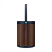 Bang & Olufsen Beosound A5 Riva Edition