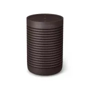 Bang & Olufsen Beosound Explore Chestnut