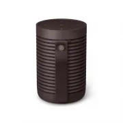 Bang & Olufsen Beosound Explore Chestnut